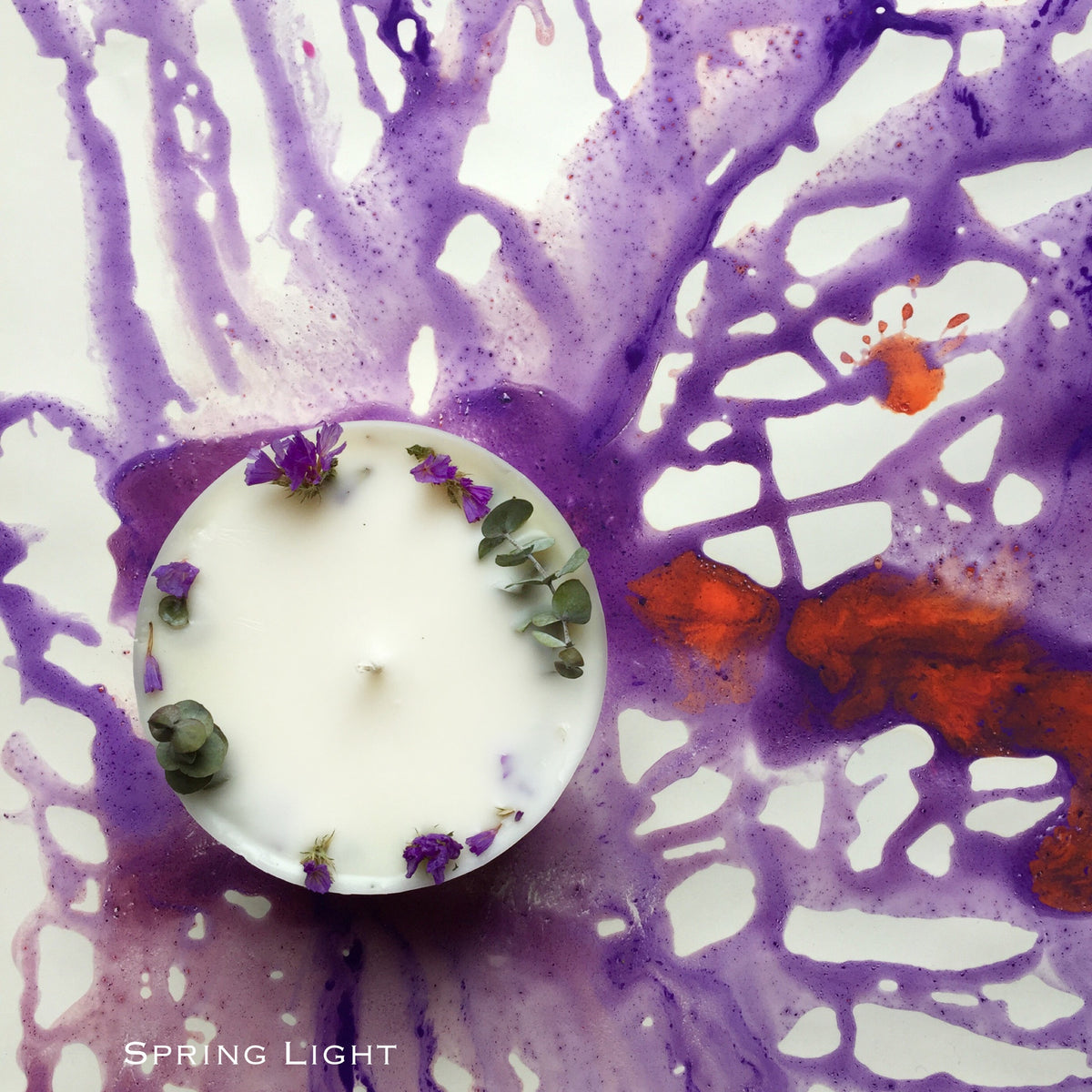 Statice Flower mean? SPRING LIGHT