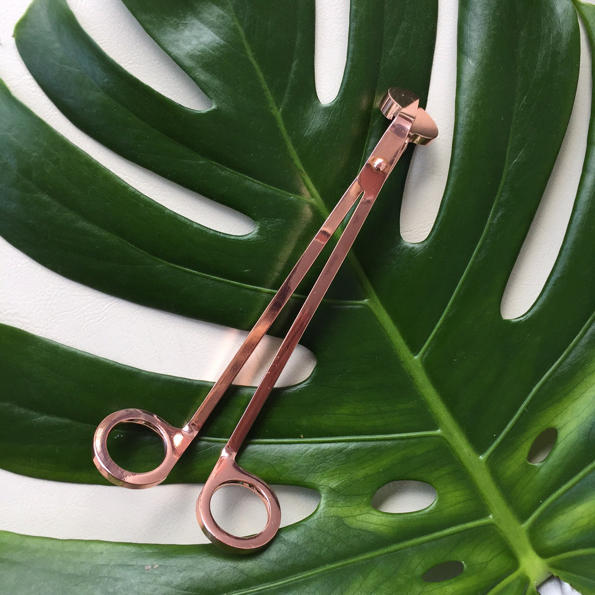 Candle Wick Trimmer SPRING LIGHT