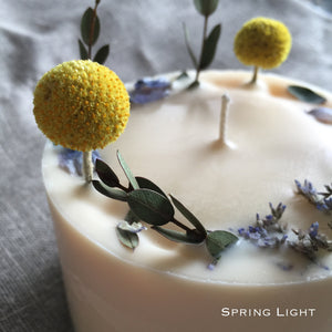 Decorated Soy Wax Candle VELVET TOUCH