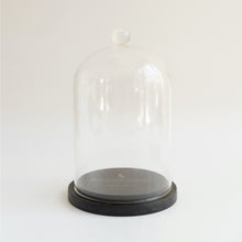 Glass Dome with Wooden Base